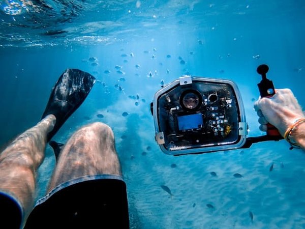 Quels sont les secrets pour réussir en tant que formateur en photographie sous-marine ?