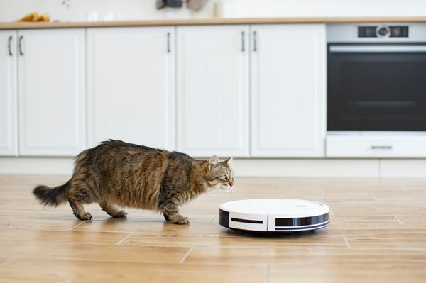 Découvrez ce que le thermomix tm7 nous réserve pour 2025